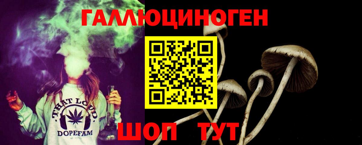 Камень-на-Оби  Псилоцибиновые грибы Magic Shrooms  закладка  Вход с VPN 